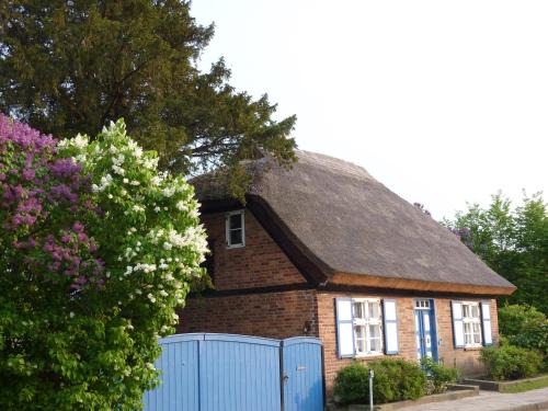 Krakvitz House | Alte Kate mit Bau-& Zirkuswagen im Gartenidyll in Putbus OT Kasnevitz