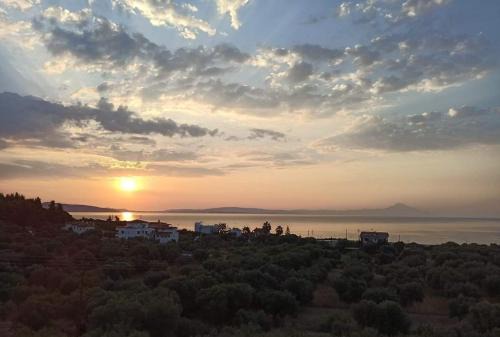 Sithonia Apartment | Althea Two - Sithonia Chalkidiki 250m from the beach