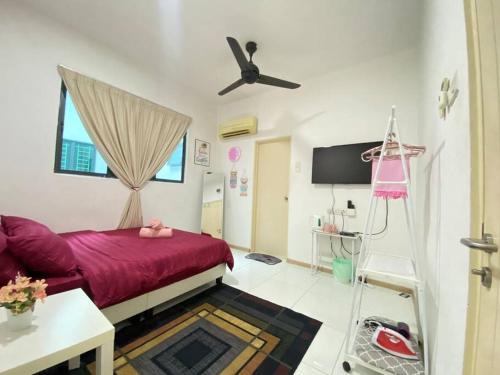 Seksyen 14 Apartment | Alysa Homestay Vista Alam