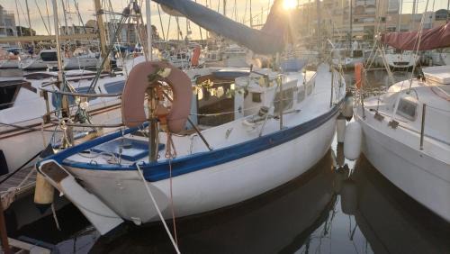 Port Rive Gauche Boat Rental | AMADONNe