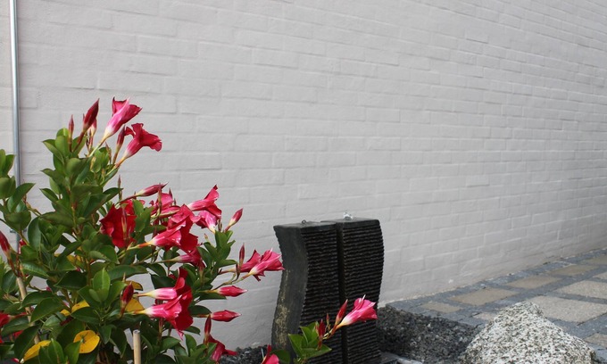 Odense Bed & Breakfast | Amalie B&B Apartments
