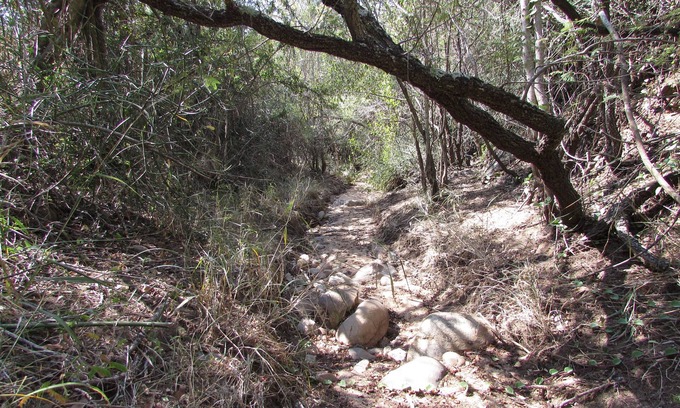 Thorny Bush Game Reserve Cabin | Amanzimlotzi Riverside Bush Camp Pure Wilderness in Limpopo, Kruger Park