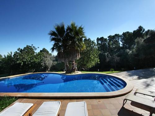 Petra House | Amazing mansion in Petra with swimming pool