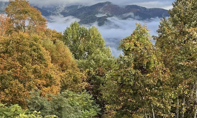 Bakersville House | Amazing Mountain Views HOT TUB Fire Pit Remote Location Pet Friendly