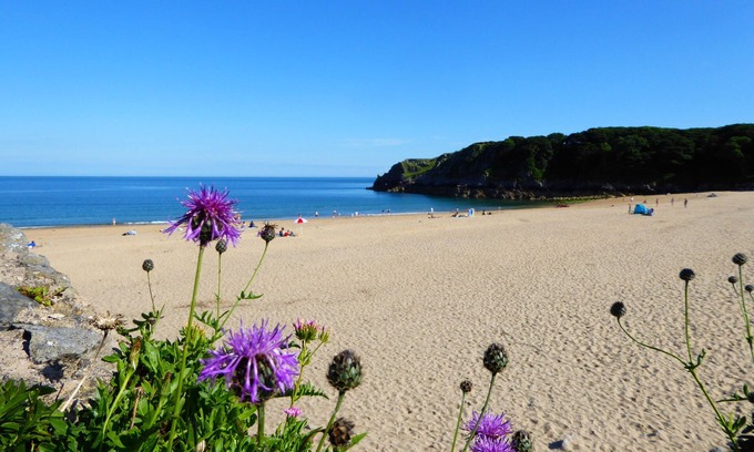 Angle House | Amazing Sea Views, walk to the beach. Dog Friendly.
