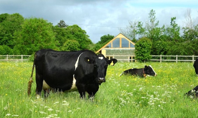 Bourton Cottage | Amazing views in luxury cottage