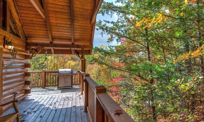 Black Bear Falls Cabin | Americana