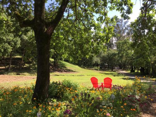 Santa Rosa House | Amitabha Wine Country Cottage
