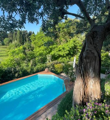 Campiglia Marittima Bed & Breakfast | Amore a prima vista b&b