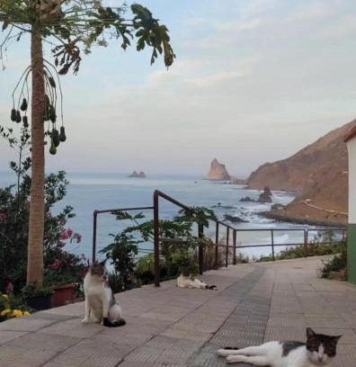 Santa Cruz de Tenerife House | Anaga Manolo Beach House Relax-Trail-Surf