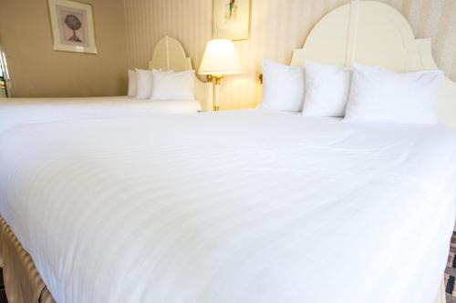 Anaheim Resort Hotel | Anaheim Carriage Inn