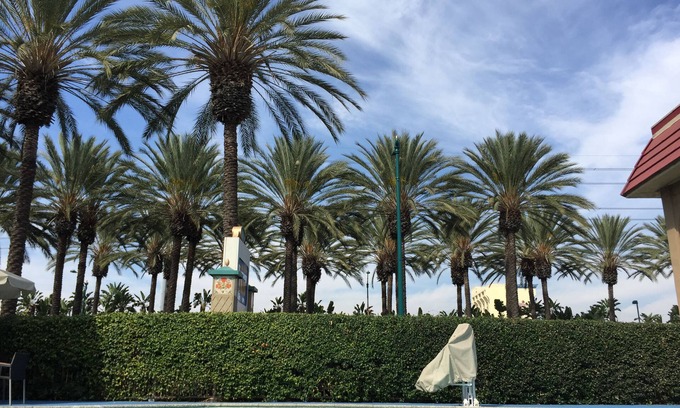 Anaheim Resort Hotel | Anaheim Discovery Inn & Suites
