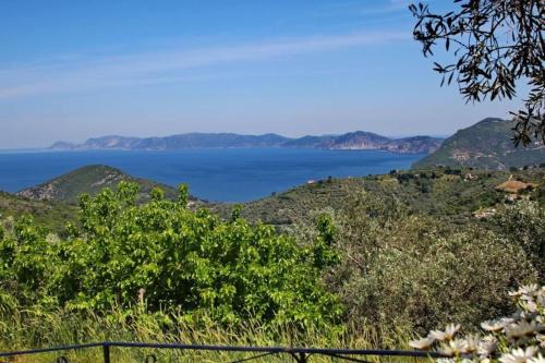 Skopelos Town House | Anania Cottage