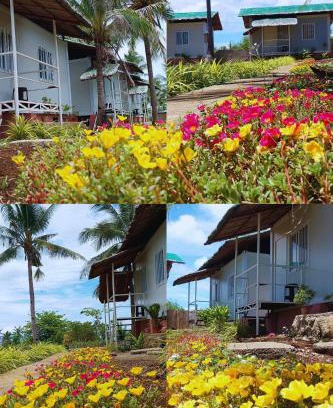 Anda Resort | Anda Container House