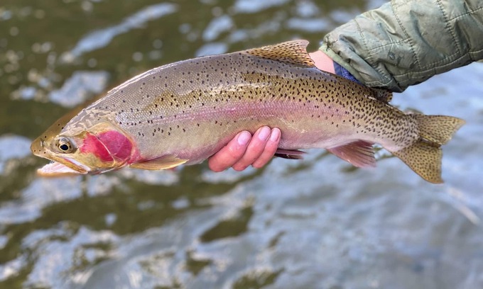 Cascade House | Angler's Paradise! Newly remodeled pet-friendly, riverfront home.