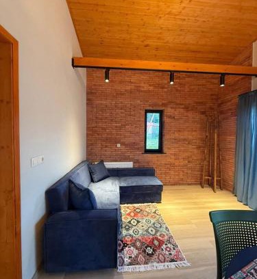 Bakuriani Apartment | Ankanakeba