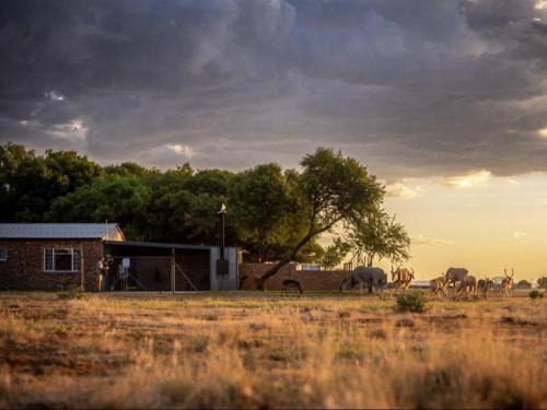 Bloemfontein House | Anna Africa Guest House