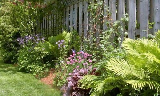 Old Town Historic District Bed & Breakfast | Antique Slumber Old Town Bed & Breakfast