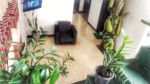 Ettukala Bed & Breakfast | Anusha Holiday Inn