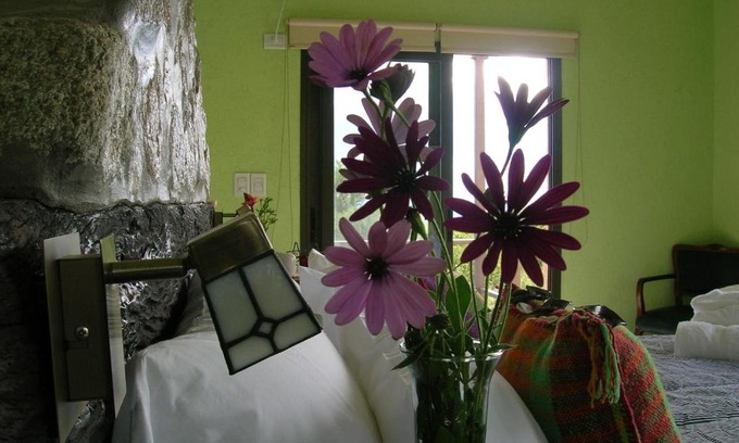 Cerro de Oro Apartment | Apart Los Antiguos