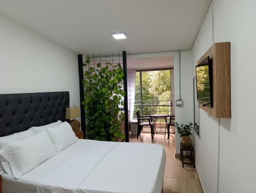 La Florida Apartment | Apartahotel Provenza 2