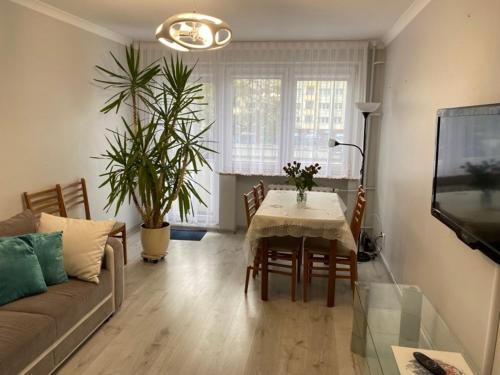 Gorzow Wielkopolski Apartment | Apartament Przy Katedrze