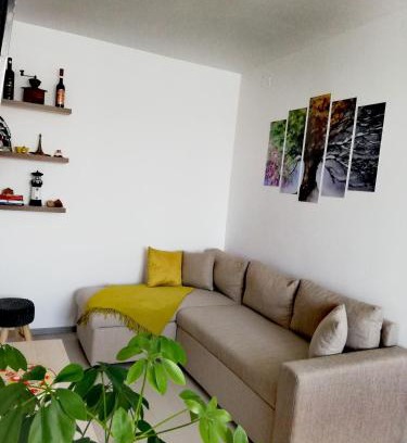 Toplita Apartment | Apartament Raluca
