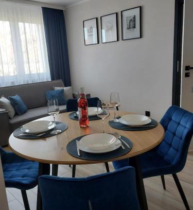 Torun Apartment | Apartament Reymonta