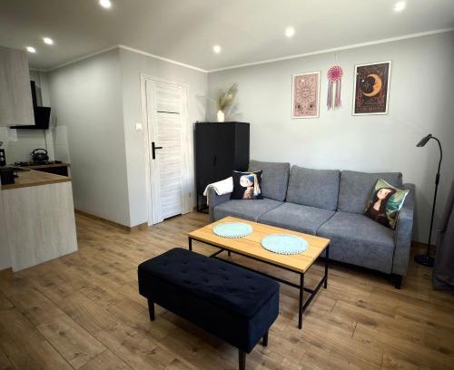 Jastrzebie-Zdroj Apartment | Apartament w Centrum