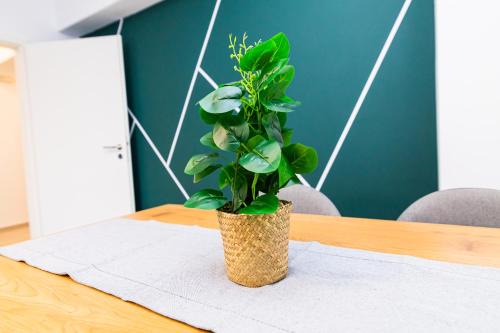 Tractorul Apartment | Apartament28