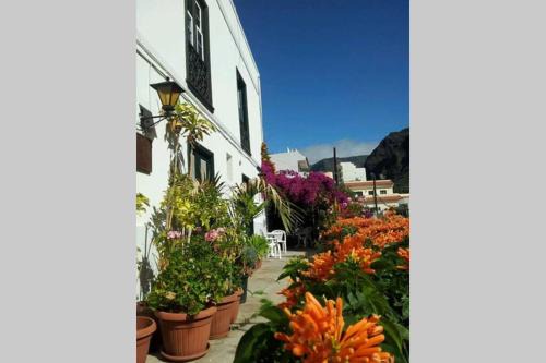 La Calera Apartment | Apartamento Askanova