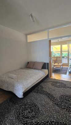 Les Acacias Apartment | Apartamento en Ginebra, Suiza