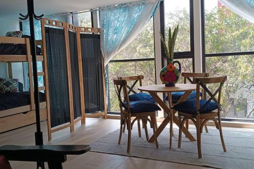 Roma Sur House | Apartamento en la Roma Sur, céntrico, bellísimo.