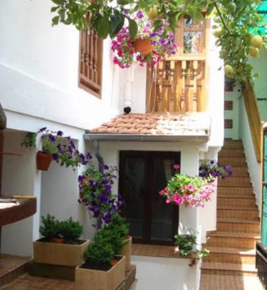 Queveda Apartment | Apartamento Flor de Luna