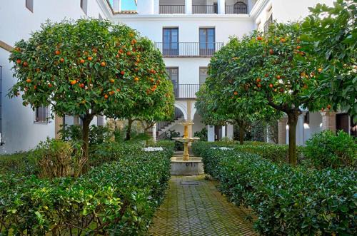 Santa Cruz Apartment | Apartamento Plaza Alfaro