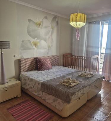 Vila Baleira Apartment | Apartamentos Arrifes 1