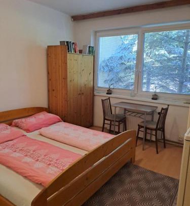 Olomouc Apartment | Apartmán na Jižní