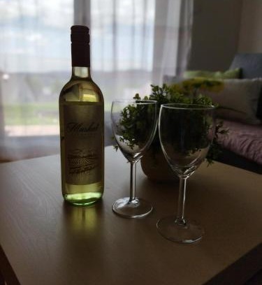 Lipno nad Vltavou Apartment | Apartmán u Šedů