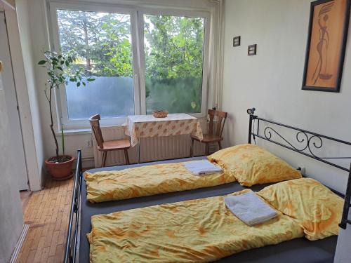 Olomouc Apartment | apartmán v jeskyni