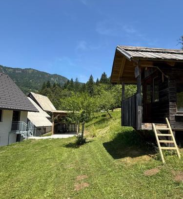 Bohinj Apartment | Apartma Klemenc