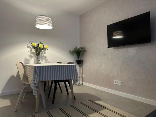 Dorcol Apartment | Apartman Dorćol VS60