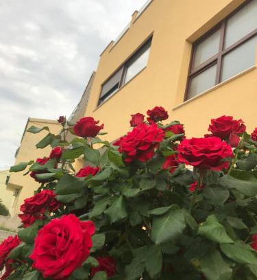 Solin Apartment | Apartman MIG