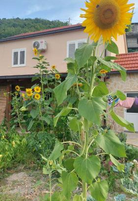 Slivno Apartment | Apartman Mustapić