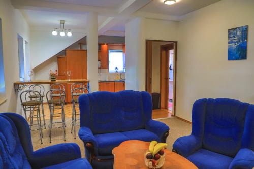Mali Radic Apartment | APARTMAN NAAJ