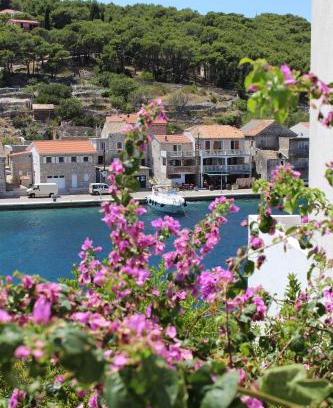 Zirje Apartment | Apartman Riva