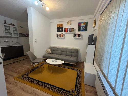 Mali Radic Apartment | Apartman Serdjo