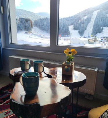 Bjelasnica Apartment | Apartman Snjezna pahuljica - FREE GARAGE