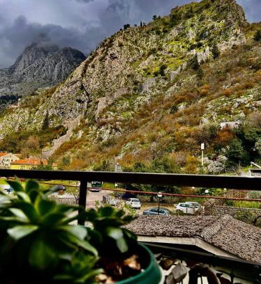 Skaljari Apartment | Apartman Venera Kotor