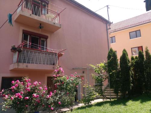 Canton 10 House | Apartmani Konta