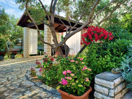 Barbat na Rabu Apartment | Apartmani Milena